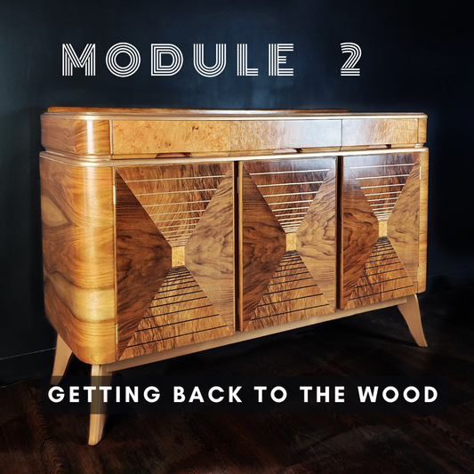 MODULE 2 - Getting Back to the Wood