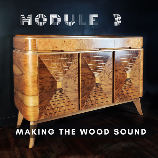 MODULE 3 - Making the Wood Sound