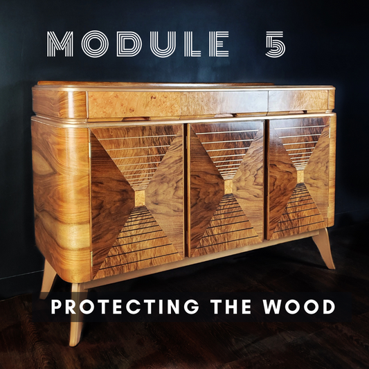 MODULE 5 - Protecting the Wood